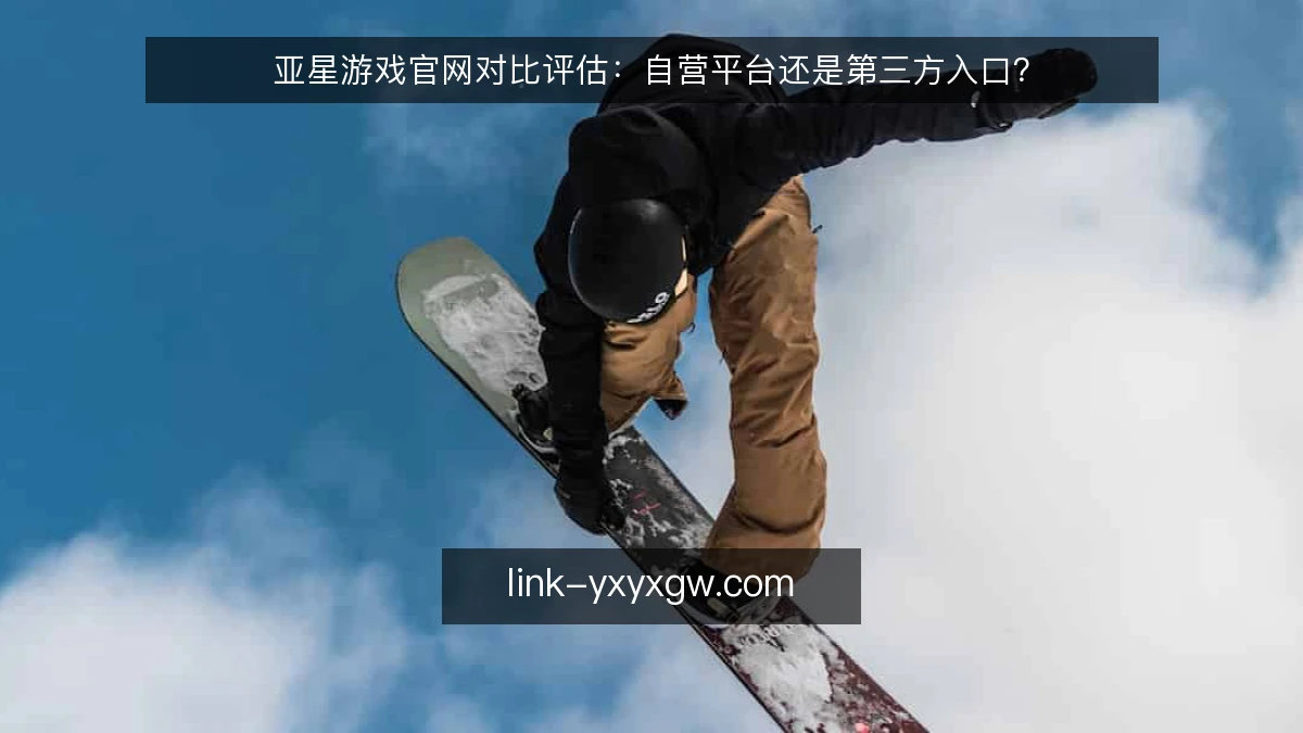 亚星游戏官网对比评估：自营平台还是第三方入口？